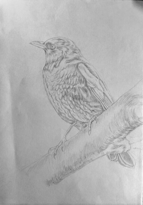 Kresba-formát A5-A2 