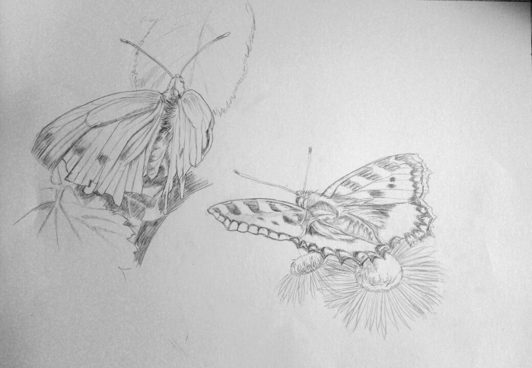 Kresba-formát A5-A2 