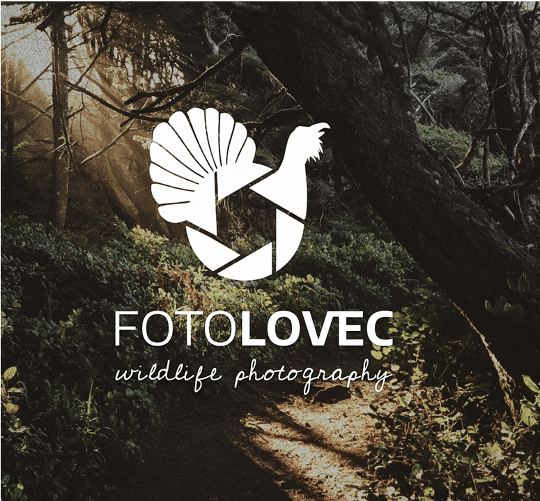 Minimalistické logo, co mluví za vás