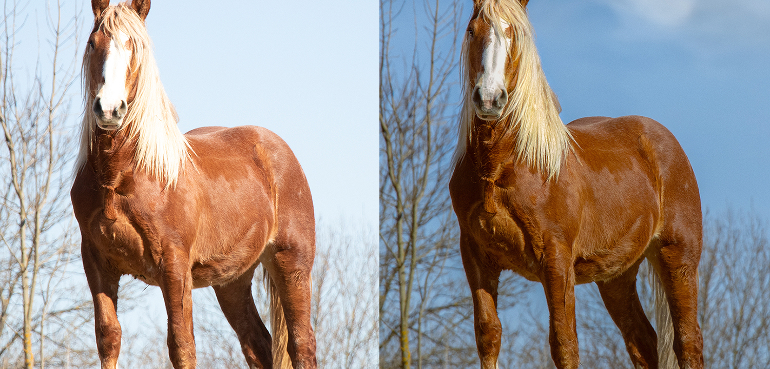 Úprava fotografií & Beauty retuš