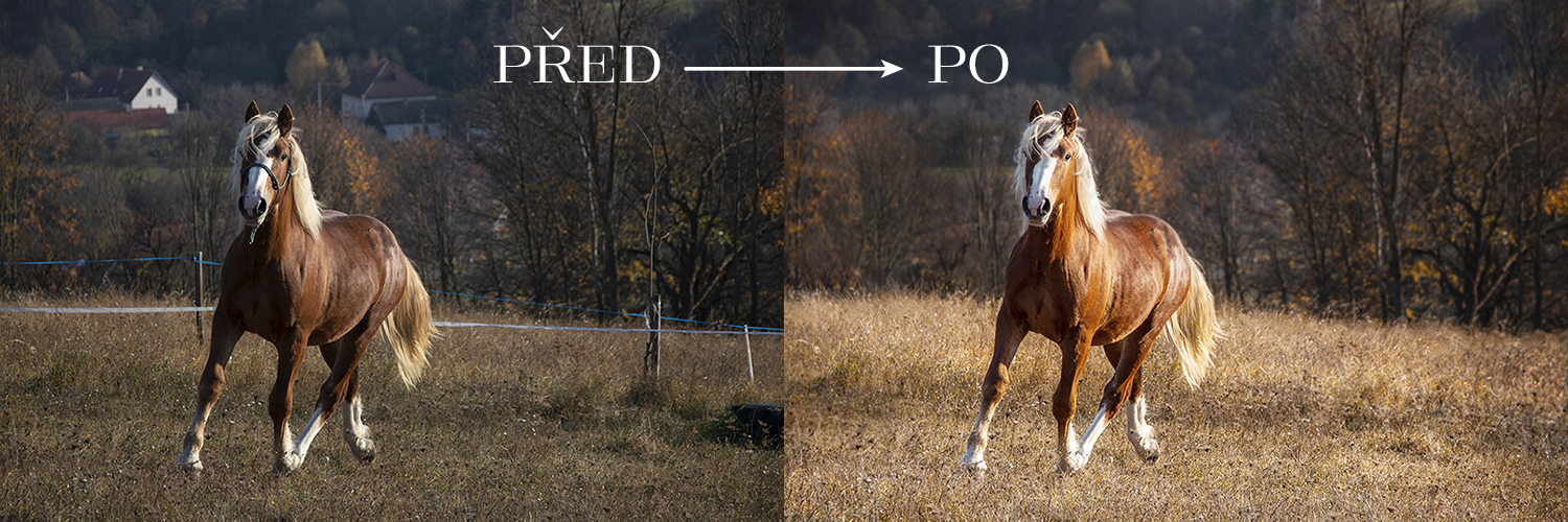 Úprava fotografií & Beauty retuš