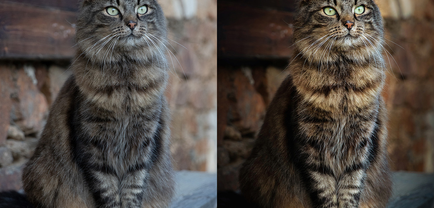 Úprava fotografií & Beauty retuš