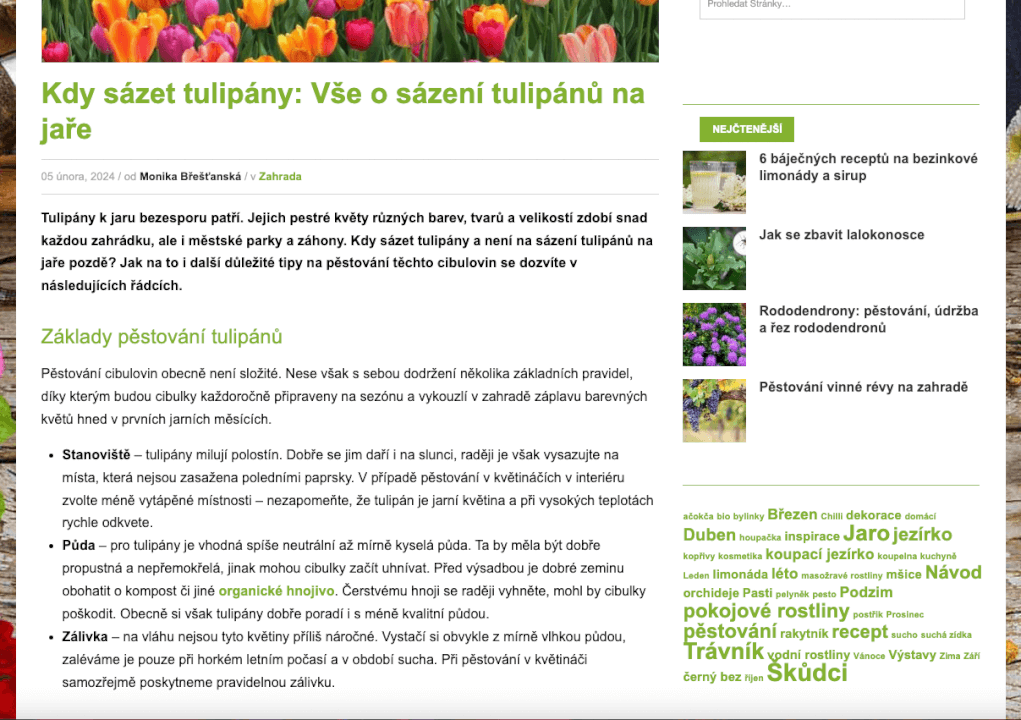 Profesionální copywriting včetně SEO a analýzy KW