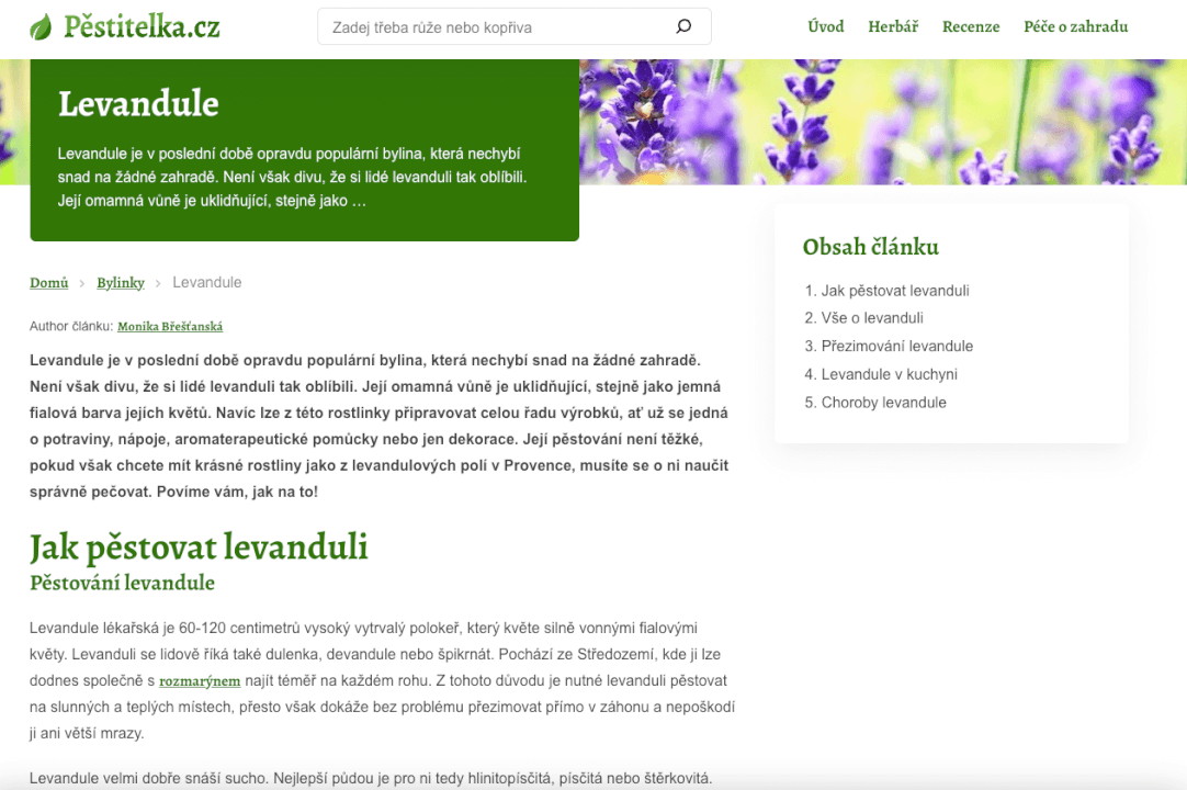 Profesionální copywriting včetně SEO a analýzy KW