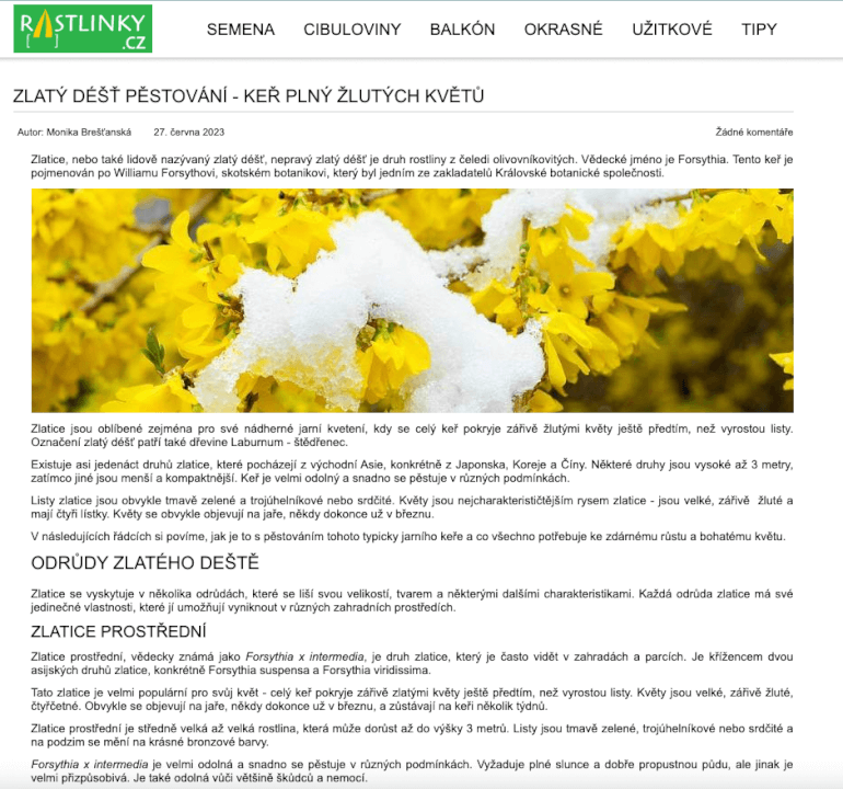 Profesionální copywriting včetně SEO a analýzy KW