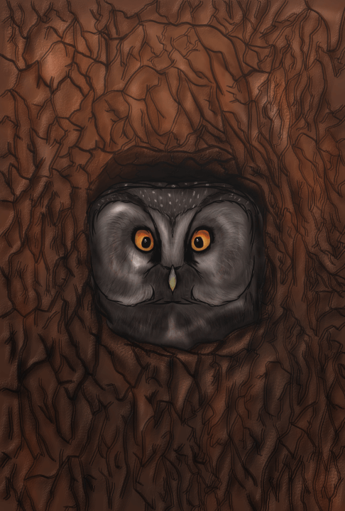 Digitalní kresba na míru 