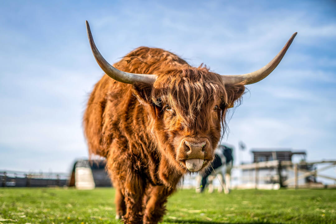 Focení a natáčení videí