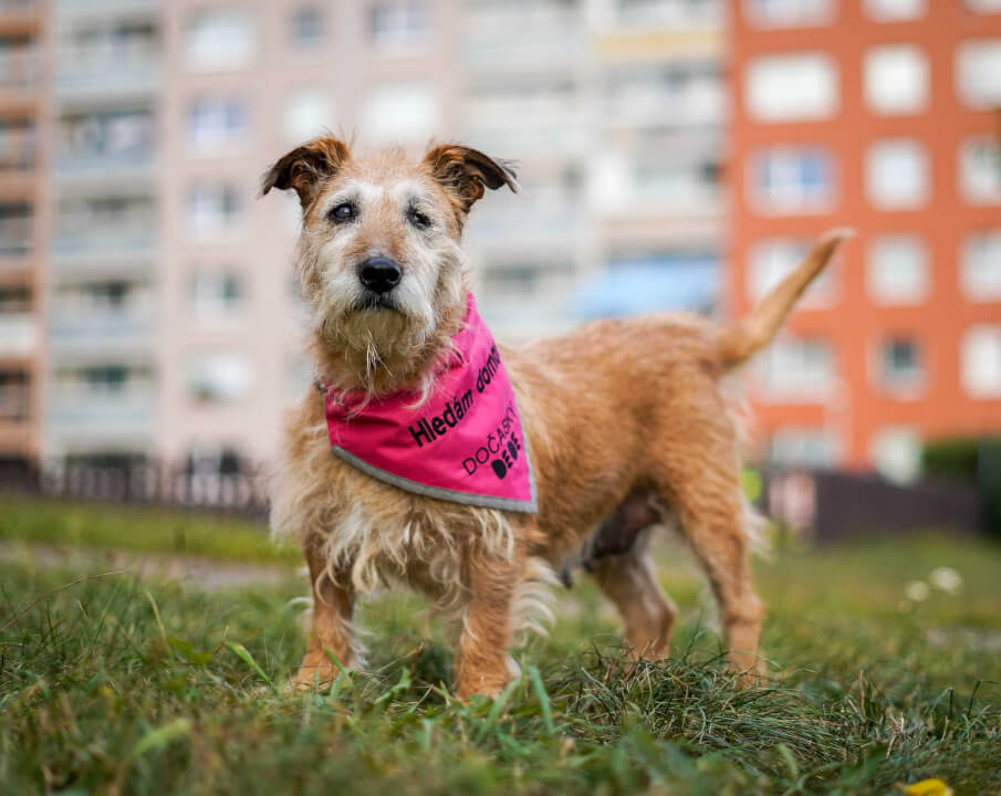 Focení a natáčení videí