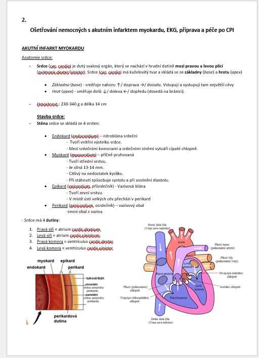Maturitní otázky - OŠETŘOVATELSTVÍ
