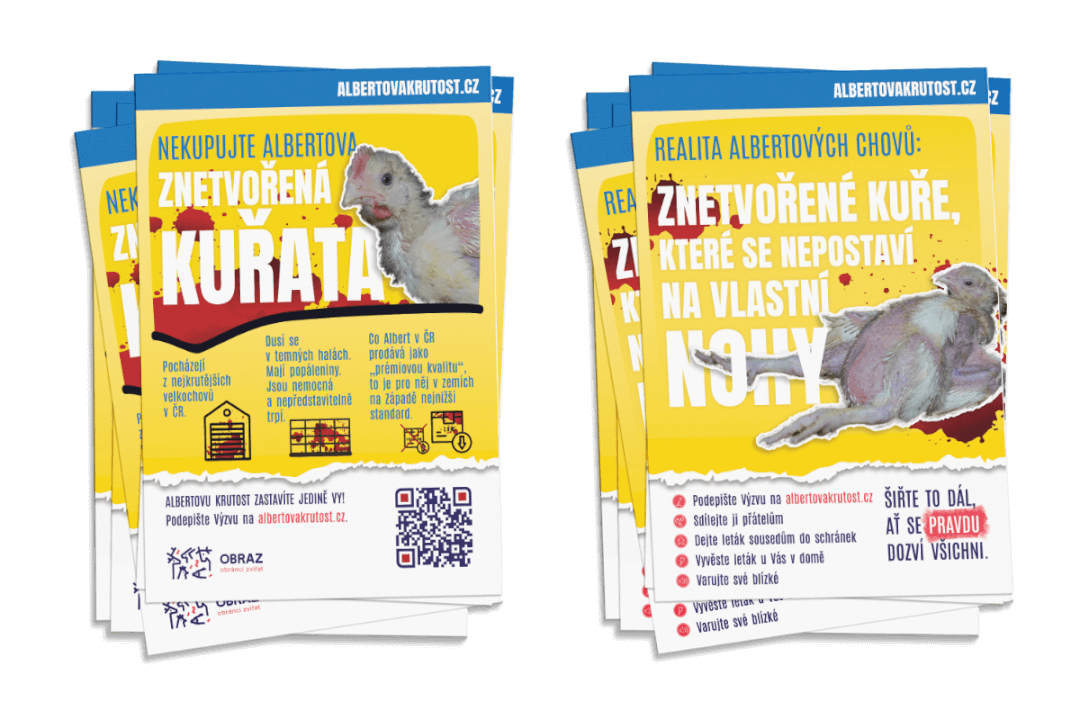 Profesionální návrh plakátů a tiskovin pro vaše projekty