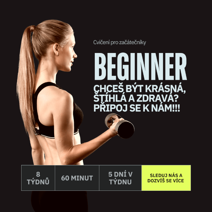 Profi správa FB a IG