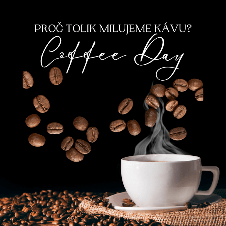 Profi správa FB a IG