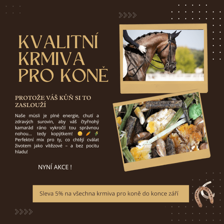 Profi správa FB a IG