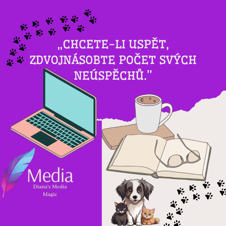 Profi správa FB a IG