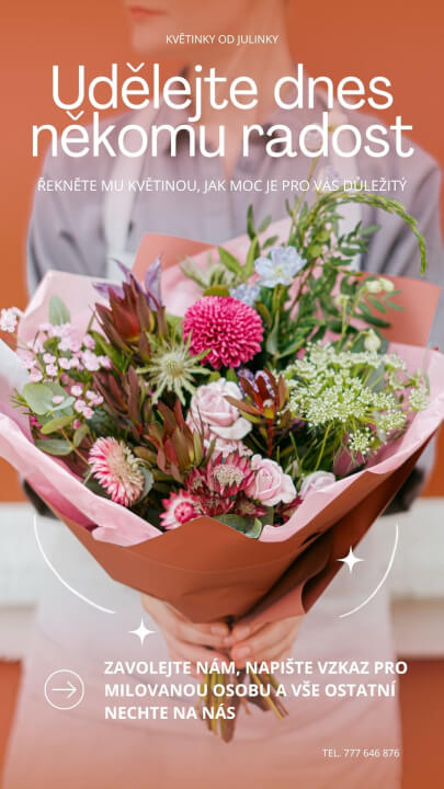 Profi správa FB a IG