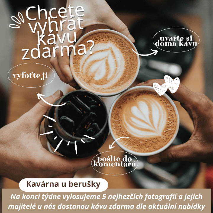 Profi správa FB a IG