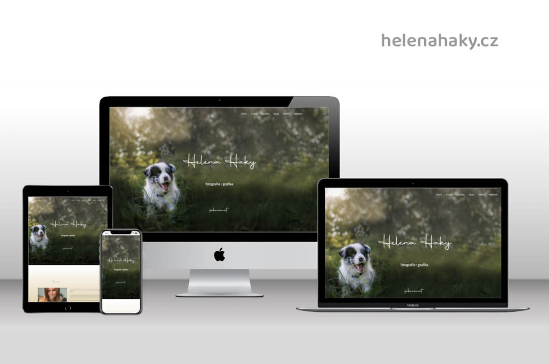 Profesionální web s administrací