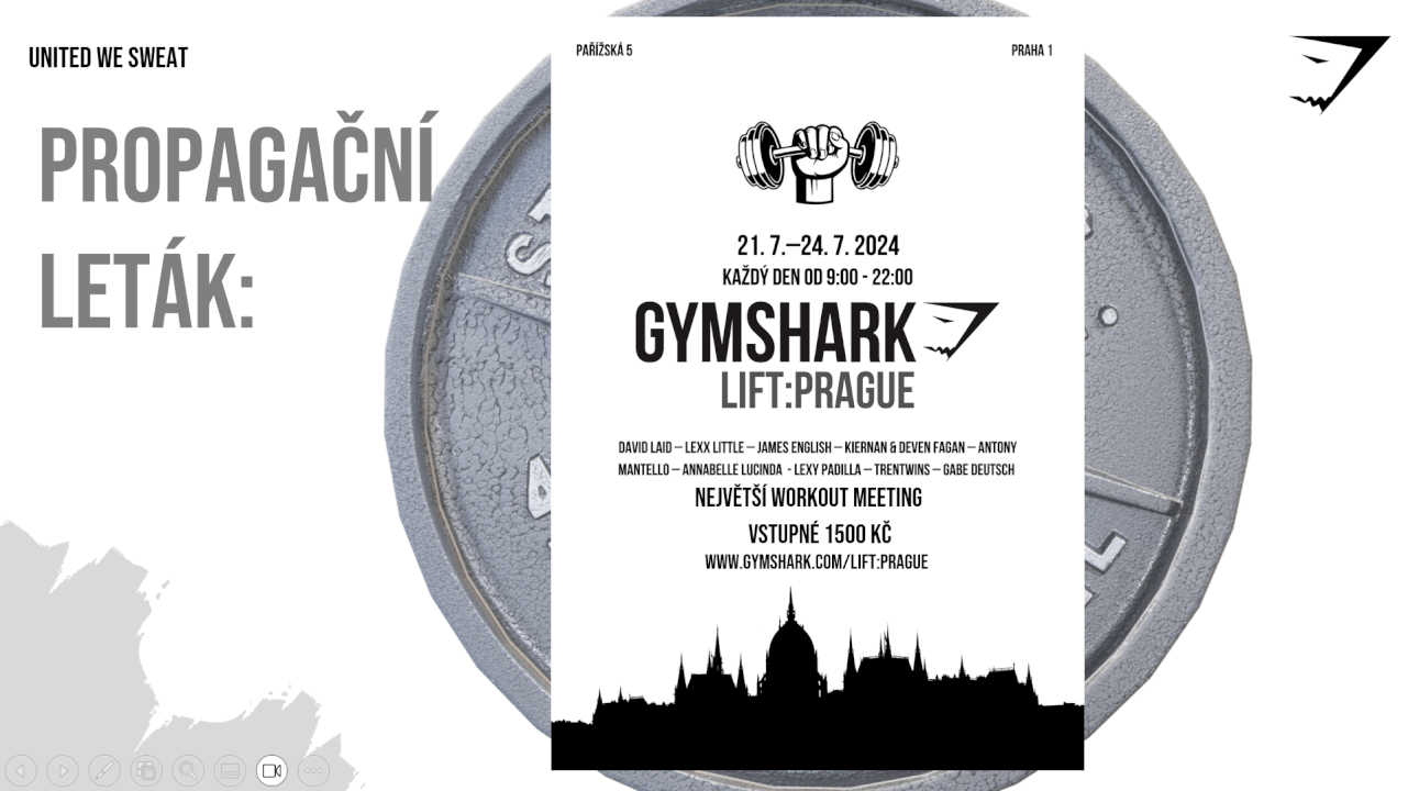 Profesionální prezentace v Powerpointu (AJ/ČJ) 