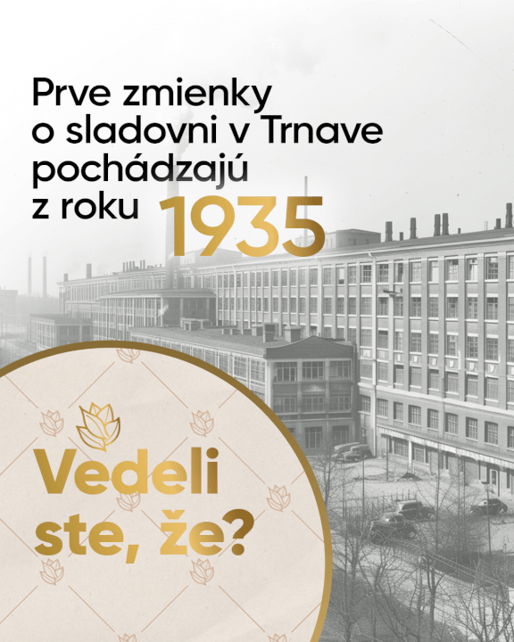 Kreativní grafika pro vaše sociální sítě