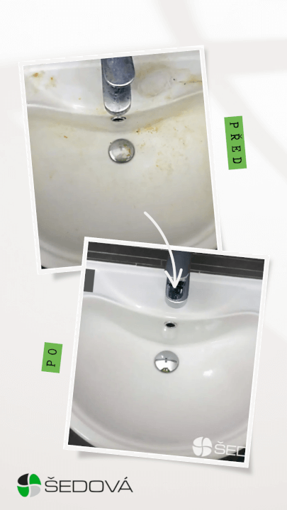 Správa sociálních sití