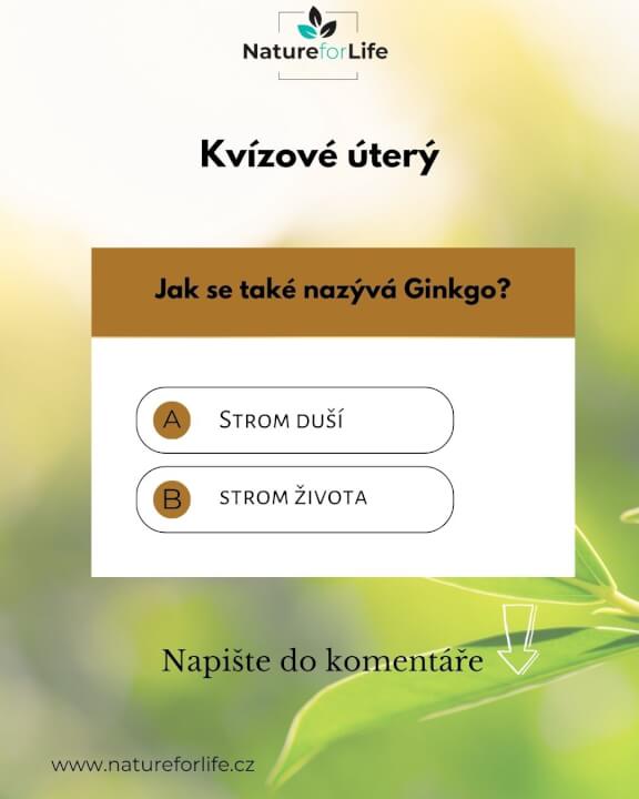 Příspěvek na sociální sítě