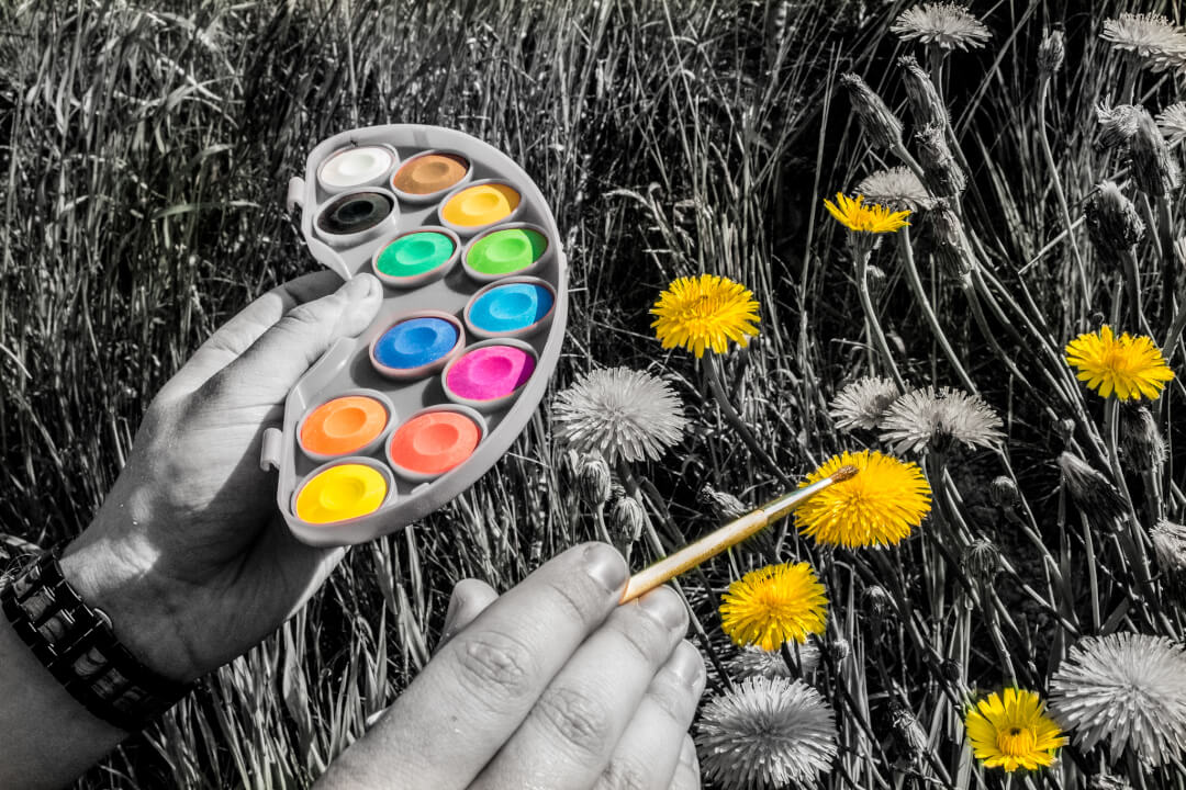 Úprava fotek pomocí Lightroom a Photoshop