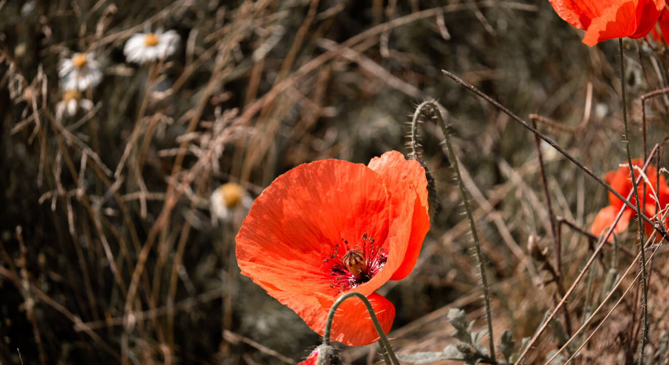 Úprava fotek pomocí Lightroom a Photoshop