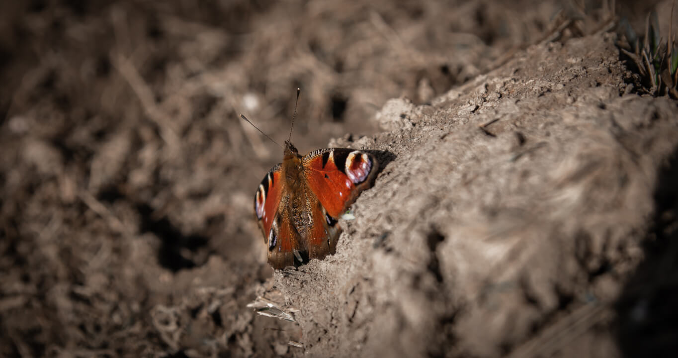 Úprava fotek pomocí Lightroom a Photoshop