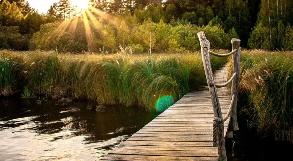 Úprava fotek pomocí Lightroom a Photoshop