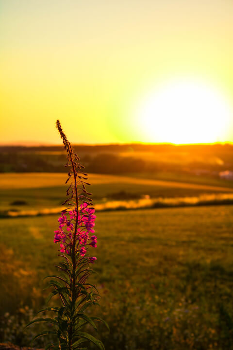 Úprava fotek pomocí Lightroom a Photoshop