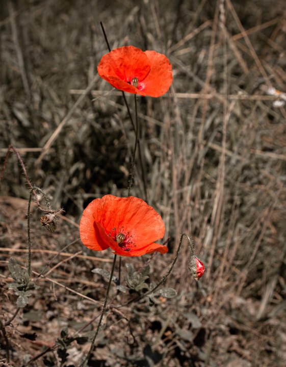 Úprava fotek pomocí Lightroom a Photoshop