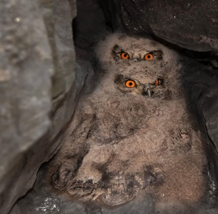 Úprava fotek pomocí Lightroom a Photoshop