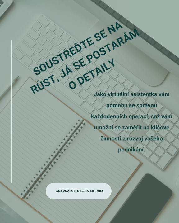 Virtuální asistentka