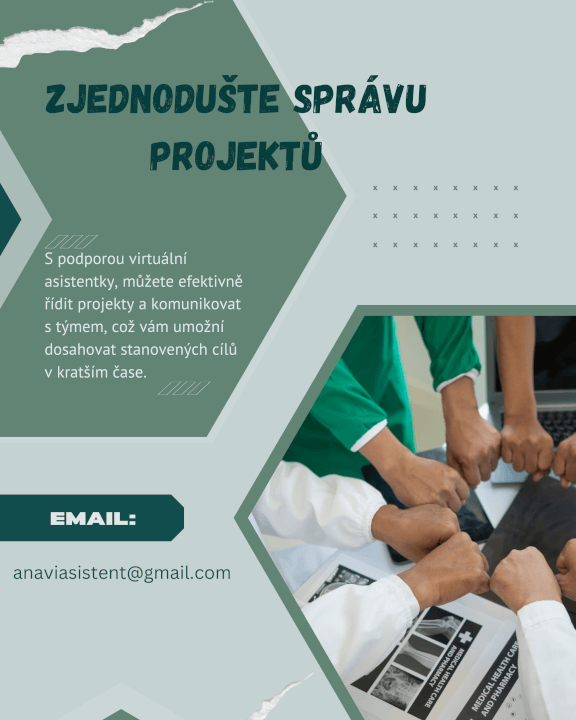 Virtuální asistentka