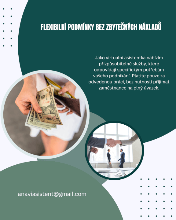 Virtuální asistentka