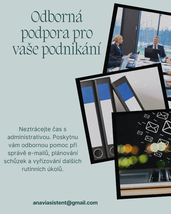 Virtuální asistentka