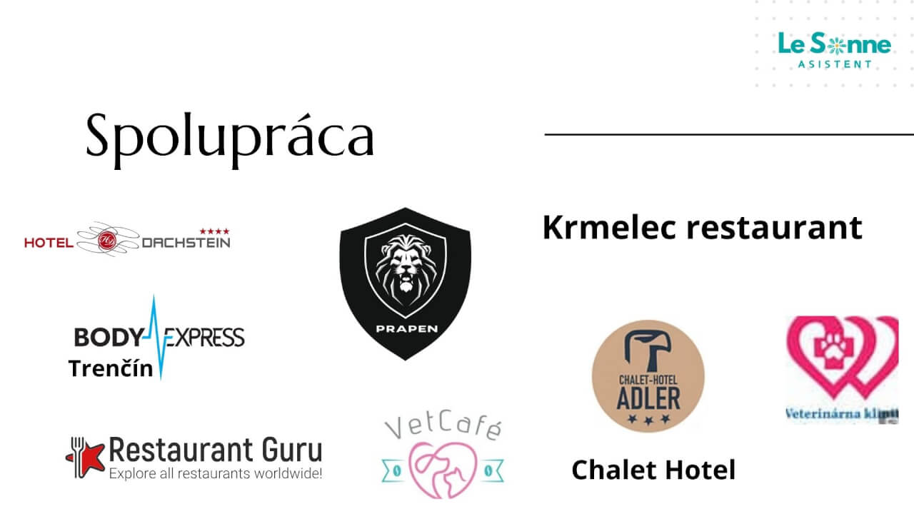 Profesionálna virtuálna asistentka