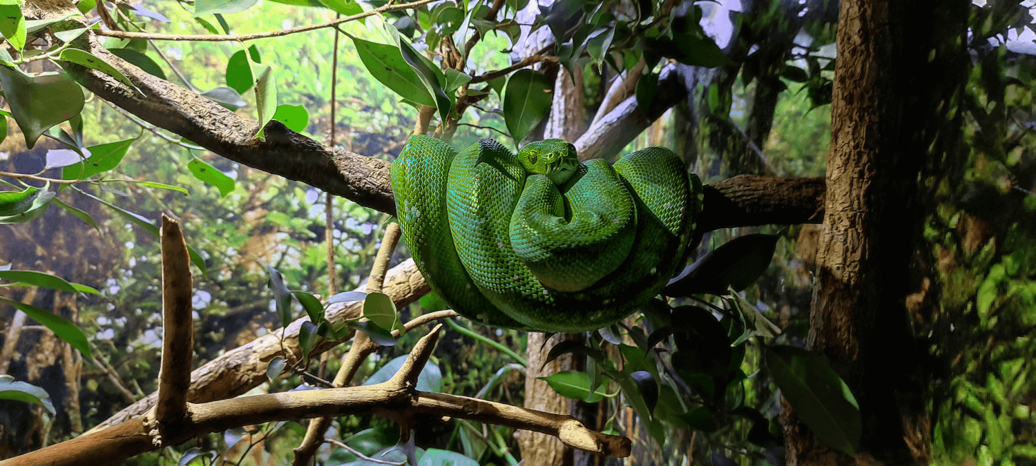 Alchymistka obrazu - Kreativní úpravy a retuš fotografií