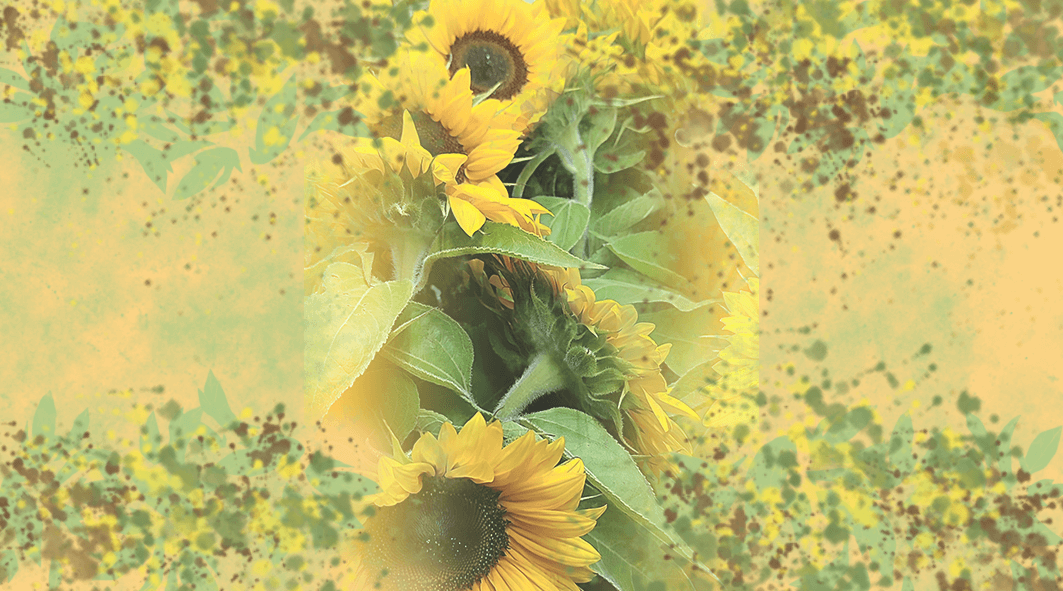 Papírová identita - Osobité vizitky, které vás vystihnou.