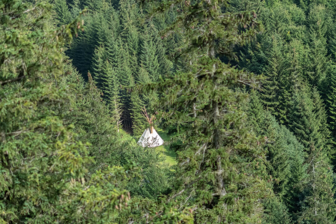 Profesionální úprava fotografií