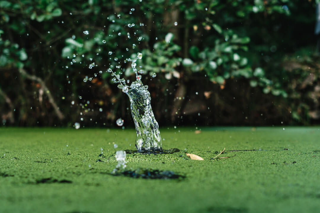 Profesionální úprava fotografií