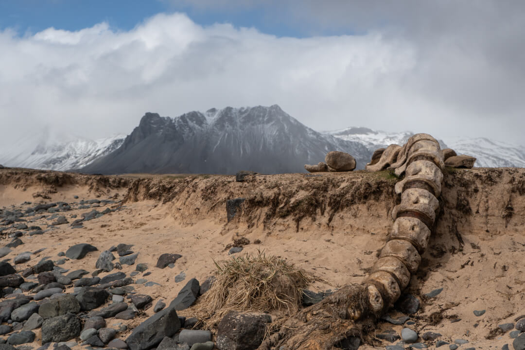 Profesionální úprava fotografií