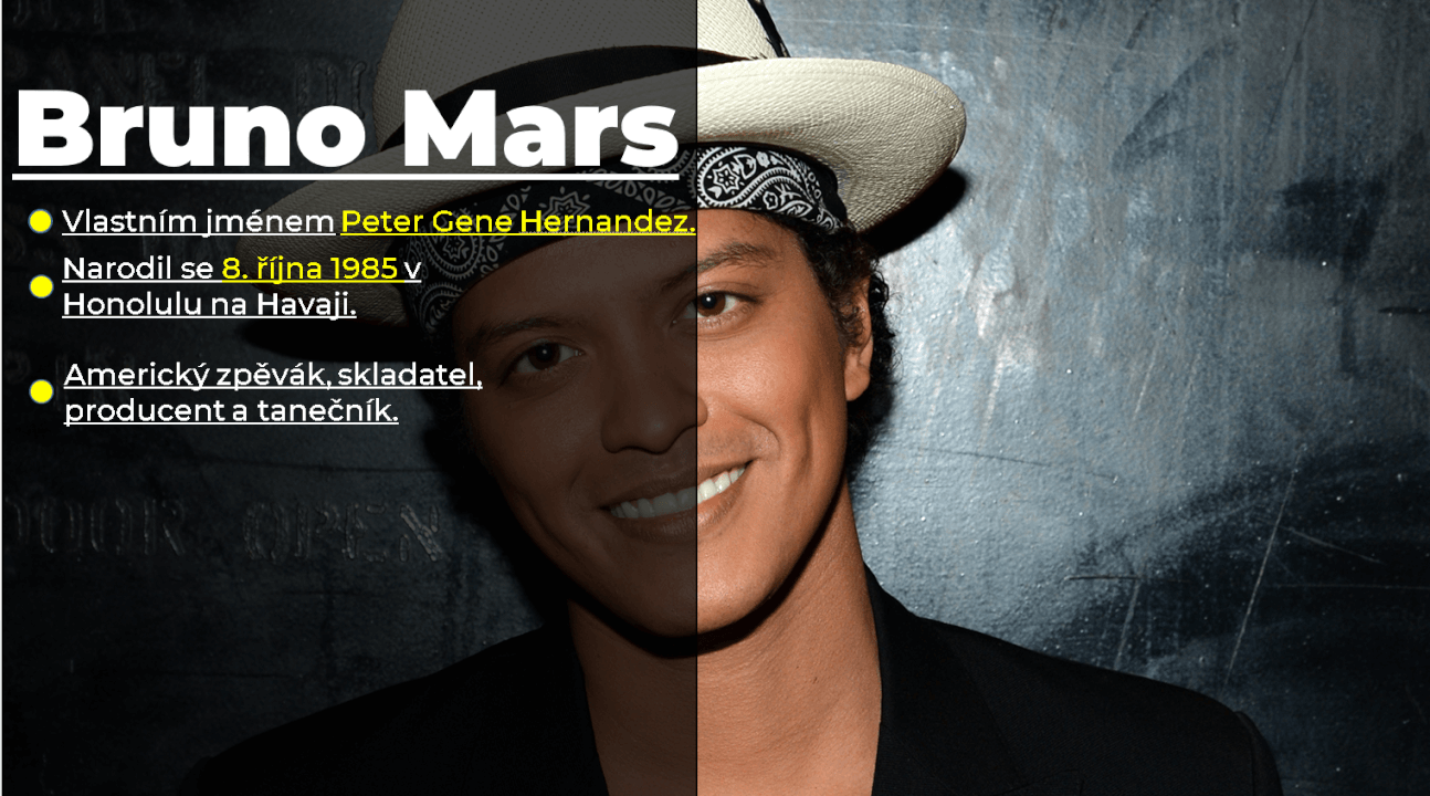 Sepsání referátu na míru (rychle a spolehlivě)