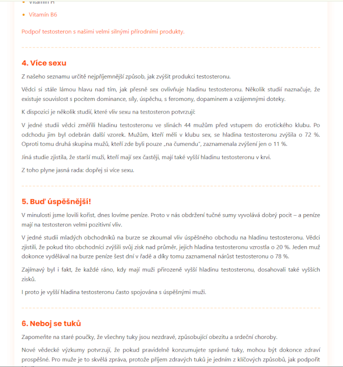 Profesionální SEO článek/text na míru