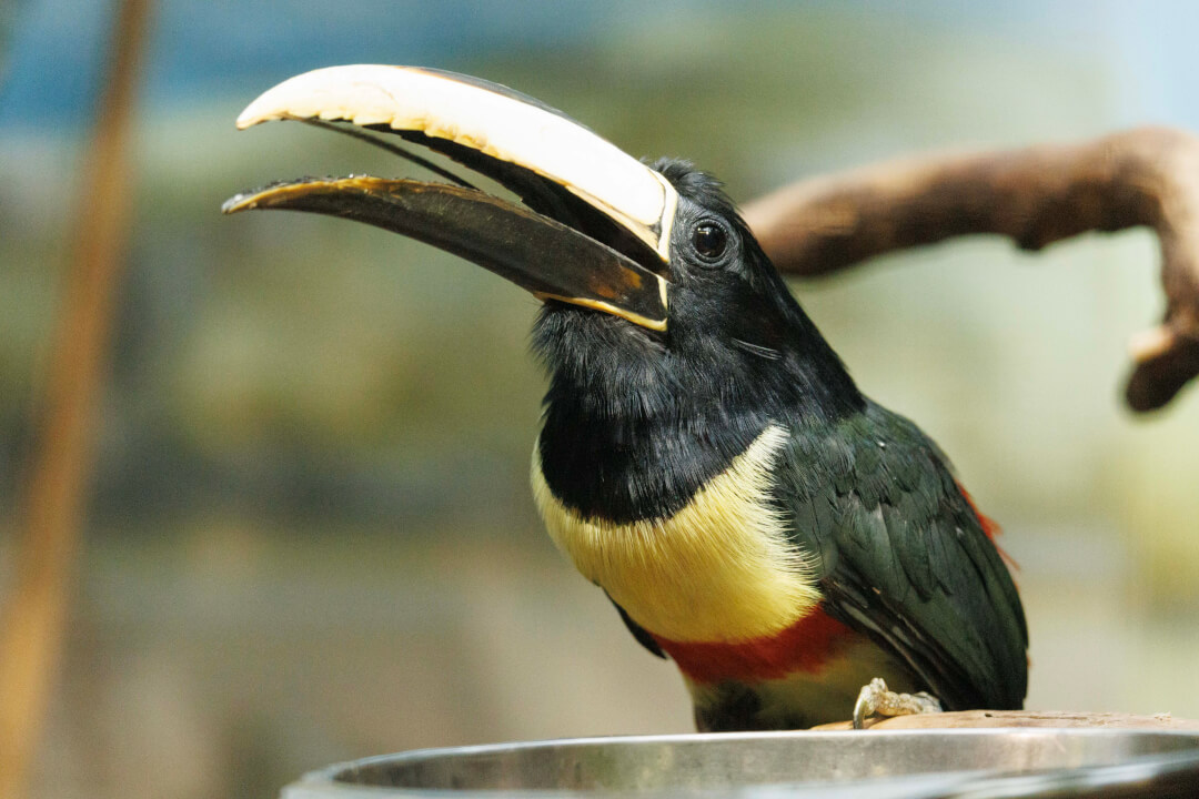 „Profesionální retuš a úprava portrétů na míru“