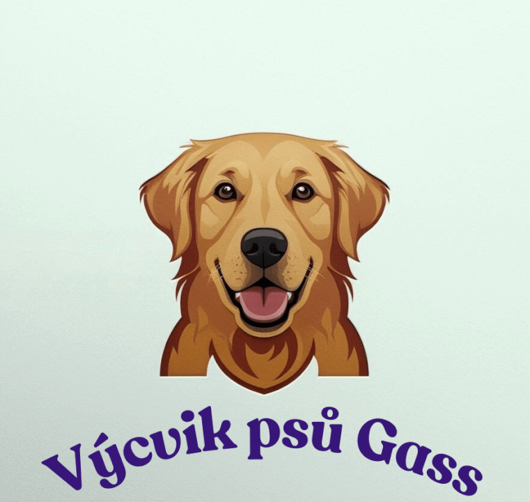 Moderní logo na míru