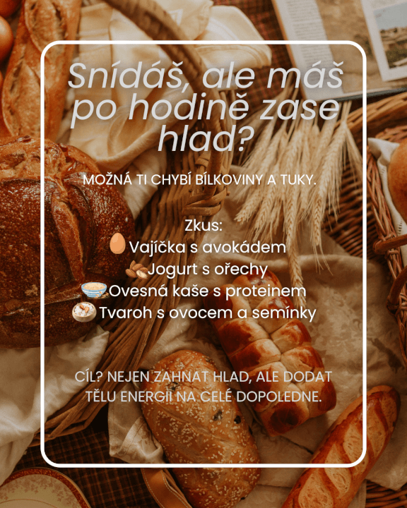 Správa Instagramu a Facebooku