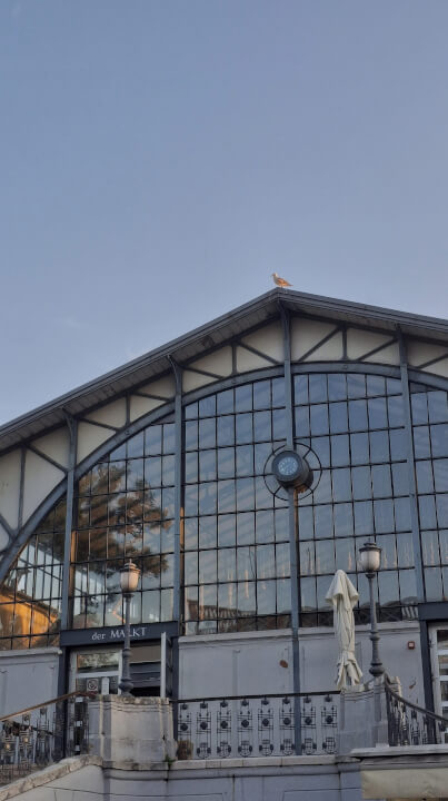 Profesionální úprava fotek