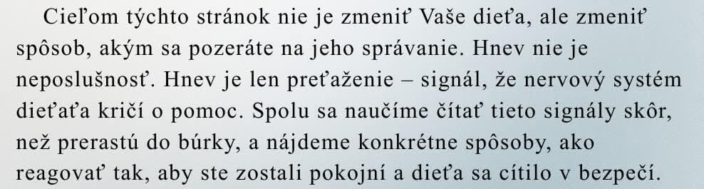 Napíšem e-book na mieru podľa vašej predstavy