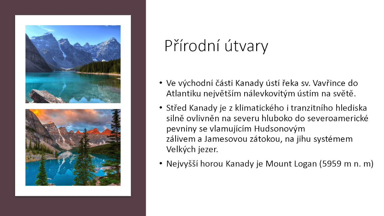 Školní práce podle potřeby ( DÚ, referáty atd.)